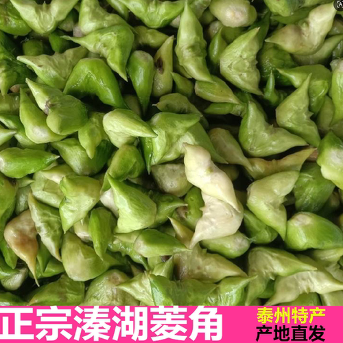 泰州产地直发溱湖菱角粉糯5斤装