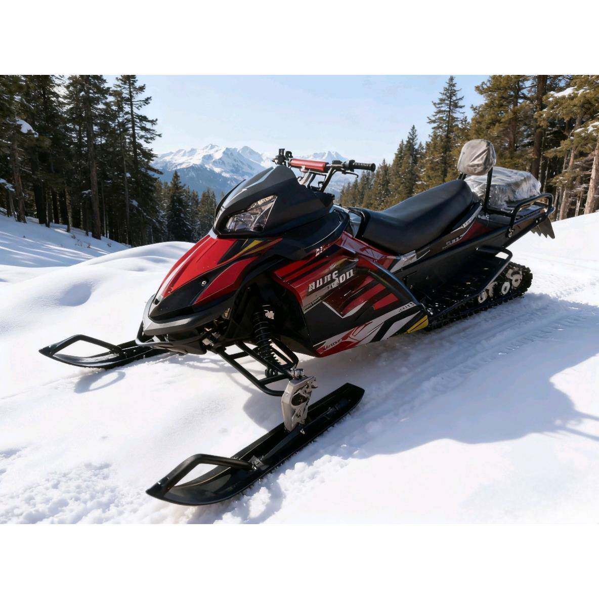 200cc雪地摩托车沙滩车ATV越野车四轮全地形车UTV两轮雪地车