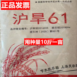 旱稻种子沪旱61稻谷种籽高产山地优质高产圆粒珍珠米水稻种子正品