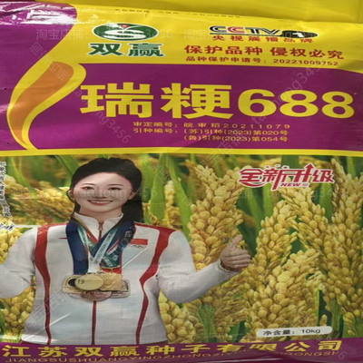 高产香米水稻谷种子瑞粳688正品
