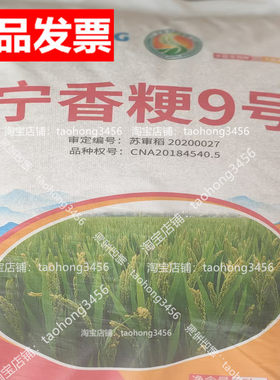 水稻种子宁香粳9号香米稻谷种子