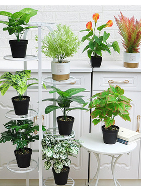 仿真盆景绿植盆栽室内客厅植物