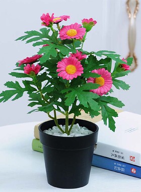 仿真花假花美幻坊小盆栽