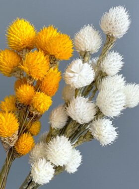 红色草莓果干花千日红永生花开心花家居装饰搭配花束配花云南跨境
