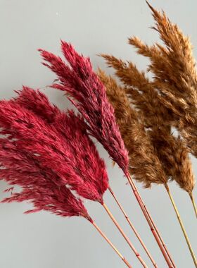 干花柴芦芦苇永生花花束婚庆花材家居装饰厂家