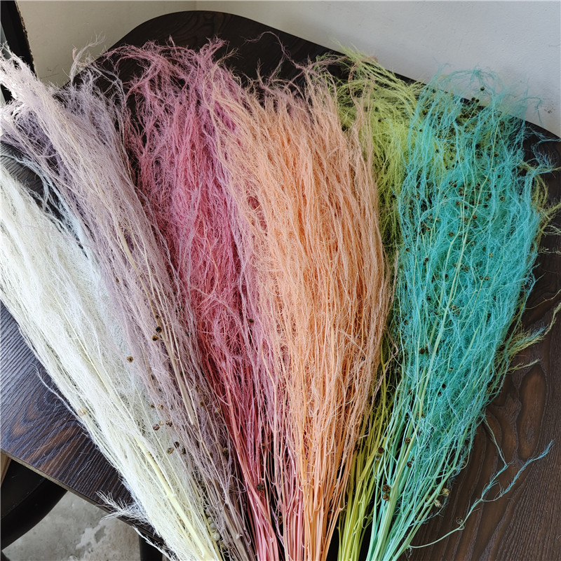 云南龙须草永生花家居装饰壁植物墙配材婚庆装饰新品花材情人节