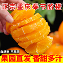 包邮 正宗重庆奉节纽荷尔脐橙新鲜水果当季 手剥橙子孕妇果冻橙甜橙