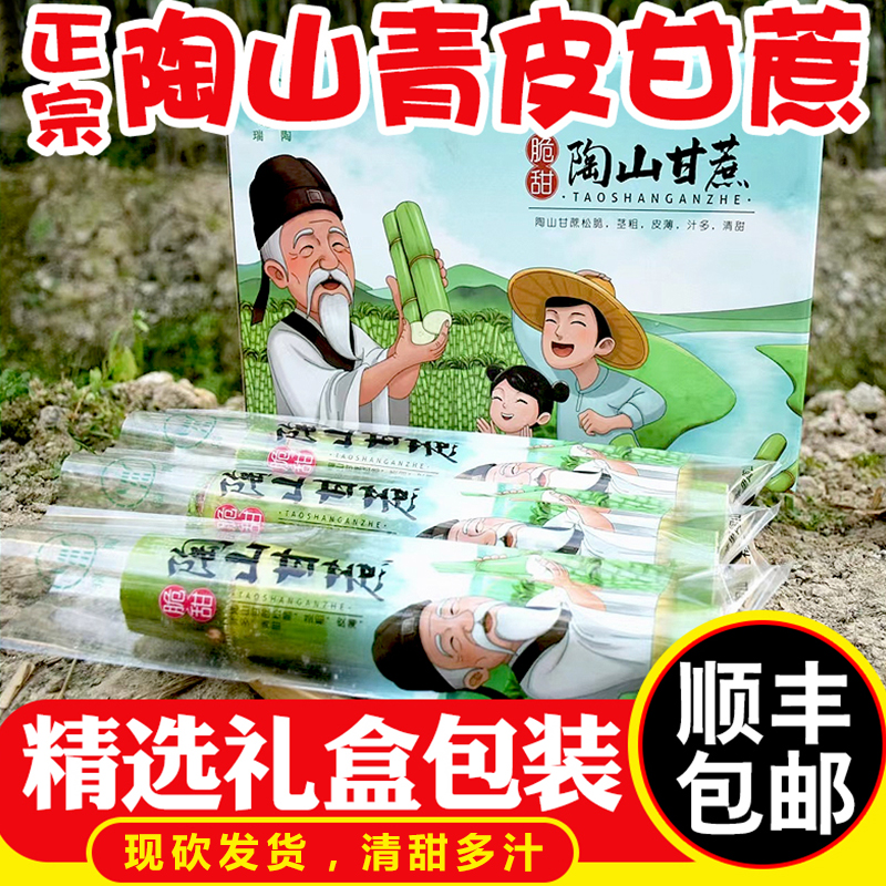【顺丰包邮】陶山青皮甘蔗5斤当应季新鲜孕妇水果果蔗礼盒装整箱