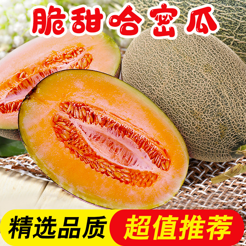 正宗海南哈密瓜海沙地蜜瓜当季新鲜孕妇水果网纹蜜瓜脆甜整箱包邮,水产肉类/新鲜蔬果/熟食,哈密瓜,淘宝优惠券,粉丝福利购,淘宝优惠卷
