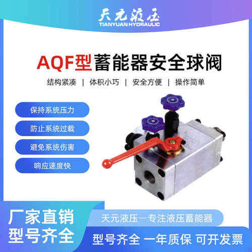 天元液压蓄能器安全球阀AQFL25H