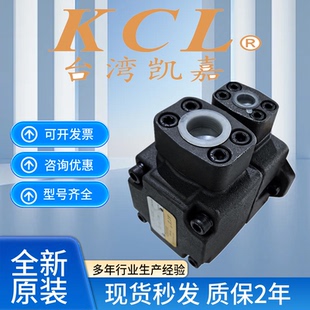01叶片油泵 RAA 台湾KCL凯嘉VQ15
