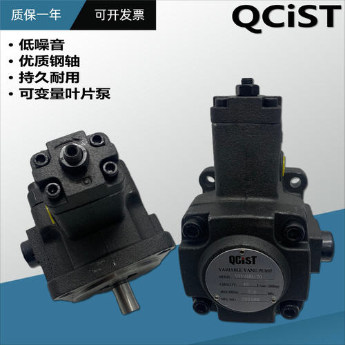 变量叶片泵VVP30B/55 VP40B/70 35机床液压系统油泵总成QCIST秦川