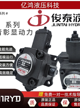 俊泰JUNTAI油泵JUNLING液压泵叶片泵VP-SF-40-D VP-SF-20 15 VP30