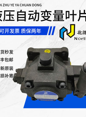 台湾北部精机叶片泵HVPVC-F30-A5-02液压泵HVPVC-F40-A4/A3/A2-02
