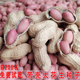 花生种子籽新花育16发芽菜精选山东高产粉皮大花生米带壳农家自种
