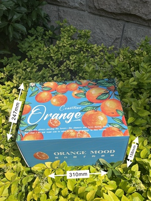 海岸橙子包装盒礼盒 新奇士3107橙包装 进口橙子包装礼盒