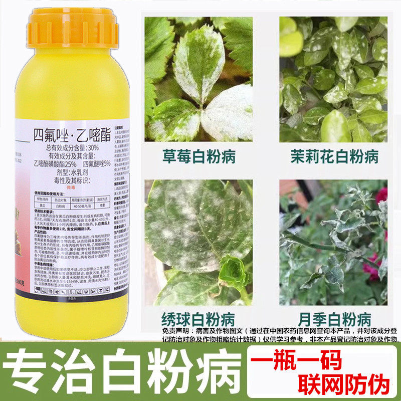 白粉病专用药四氟醚唑嘧菌酯草莓月季花卉多肉蔬菜果树农药杀菌剂