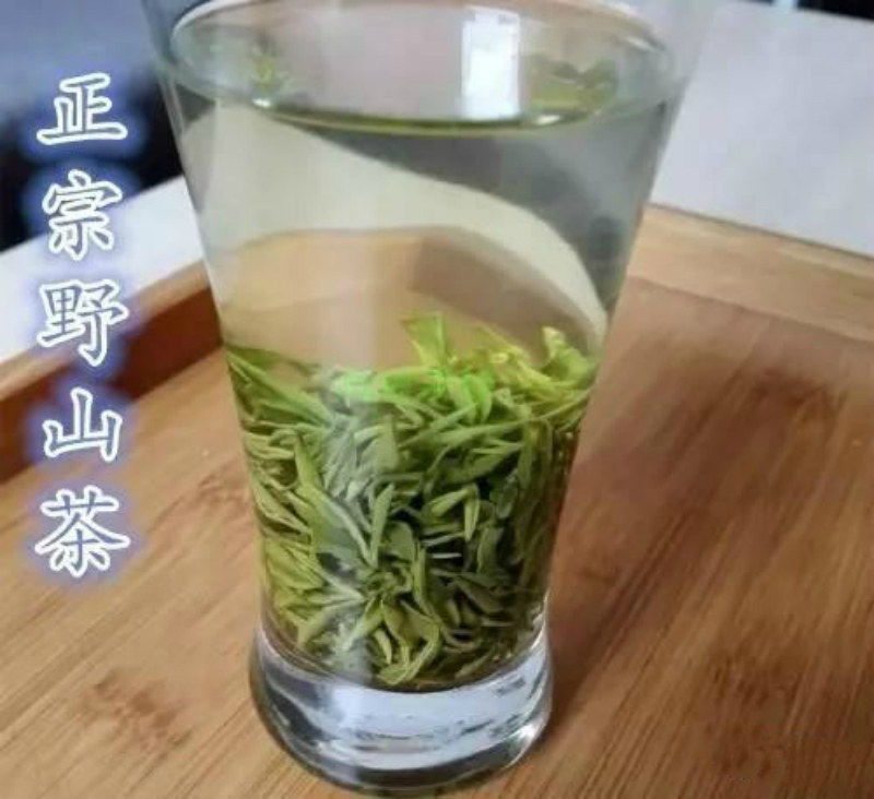 信阳毛尖野山茶250克大山茶光山茶叶新县茶原生态毛尖茶 maojian