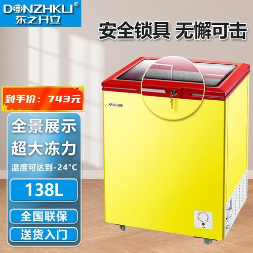 东之开立直冷独立式商用冰柜