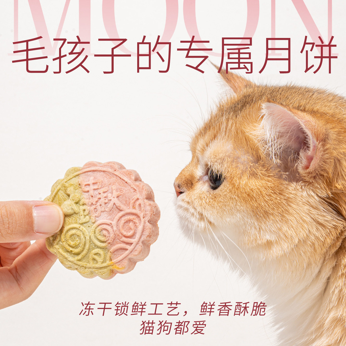 中秋圆月限定宠物月饼狗零食小猫冻干鸡肉三文鱼蛋黄鳕鱼大礼包