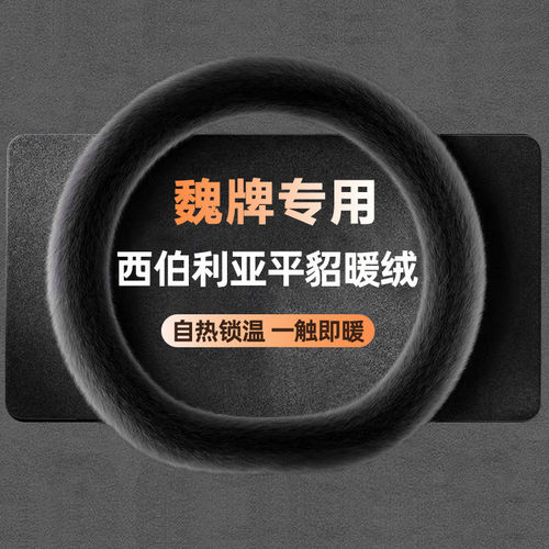 魏牌WEY高山蓝山拿铁摩卡