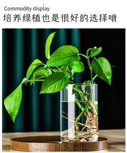 高硼硅玻璃高透鱼缸生态瓶插花瓶水培草种子四季微景观摆件插花瓶