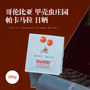 Berry Beans 咖啡豆 / 哥伦比亚 甲壳虫庄园 帕卡马拉 日晒