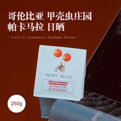 Berry Beans 咖啡豆 / 哥伦比亚 甲壳虫庄园 帕卡马拉 日晒