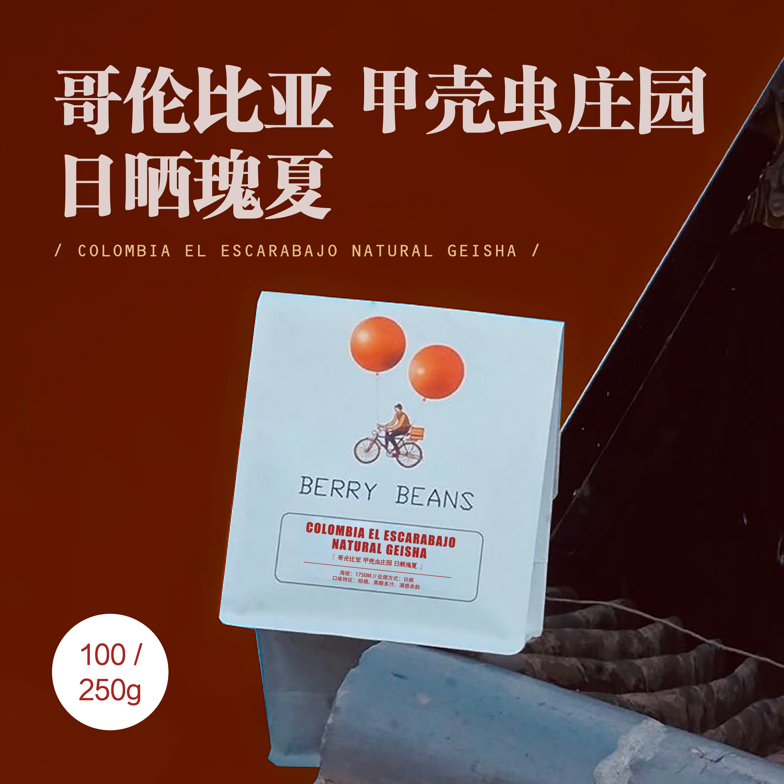 BB咖啡豆  / 哥伦比亚 甲壳虫庄园 日晒瑰夏