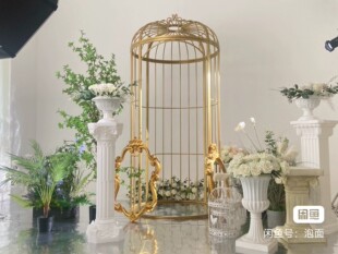 包邮装饰鸟笼铁艺鸟笼大型特大号婚庆拍照摆设超大鸟笼休闲户外装