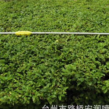 加厚16管不锈钢铜接头伸缩喷杆