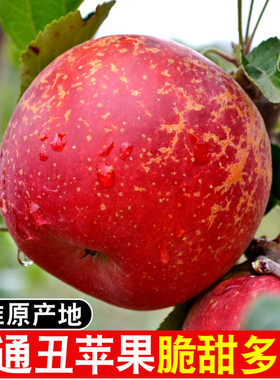 云南昭通冰糖心丑苹果孕妇水果