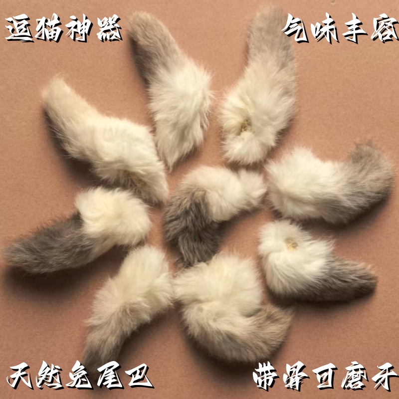 真天然兔尾巴带尾骨猫咪玩具