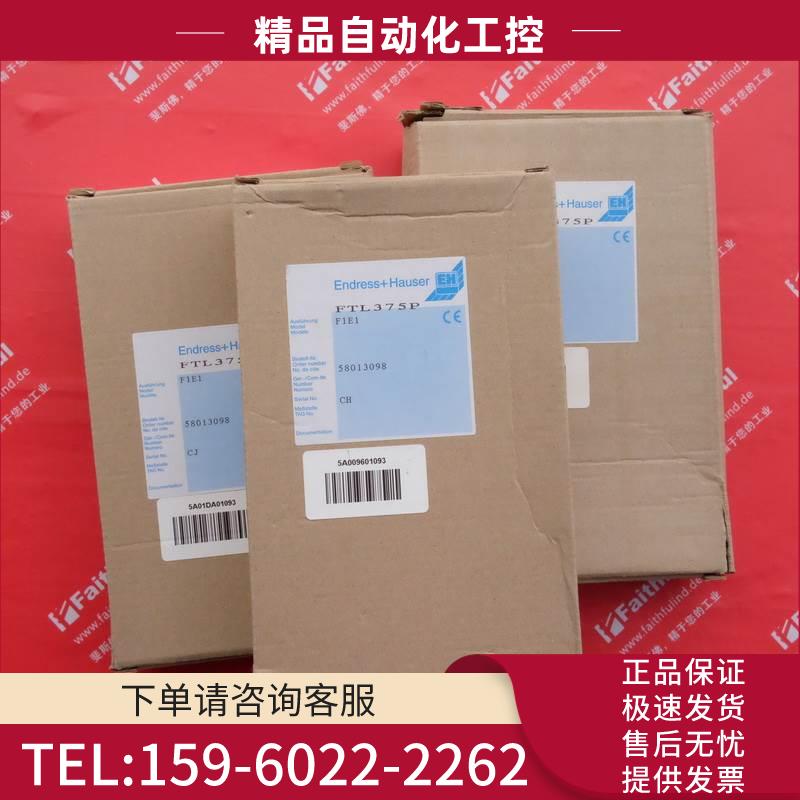 E+H FTL375P-F1E1 恩德斯豪斯液位检测 nivotseter FTL 375P【议