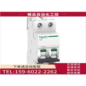 断路器IC65L 2P C10A空气开关A9F38210【议价】