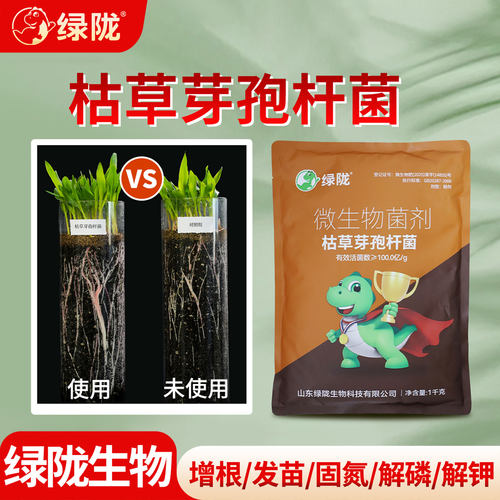 绿陇枯草芽孢杆菌微生物菌剂菌肥