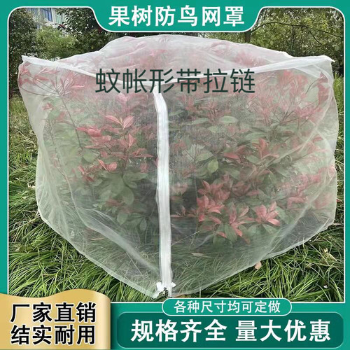 果树防虫网蔬菜大棚杨梅网罩