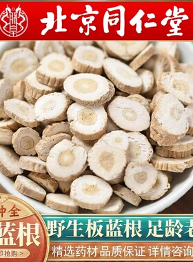 北京同仁同款正品板蓝根500g中药材野生板蓝根大青叶块泡茶水药包