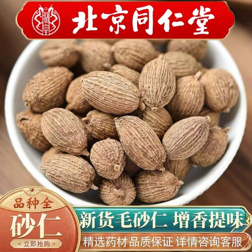 北京同仁堂中药材正宗广砂仁500g