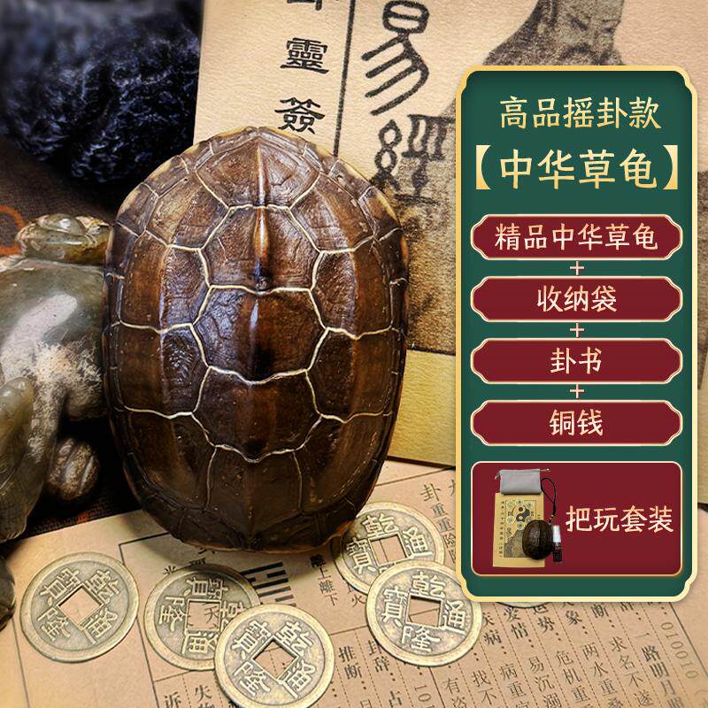 骨质天然金线龟甲摇卦把件中式
