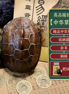 骨质天然金线龟甲摇卦把件中式