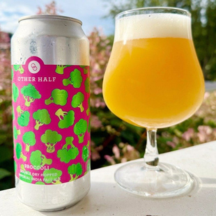 高分精酿 美国进口另一半啤酒西楚 高奇异果浑浊IPA啤酒