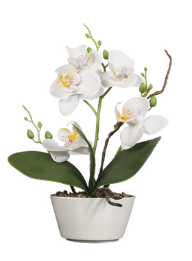 豪布斯卡陶瓷绢布美观中式客厅