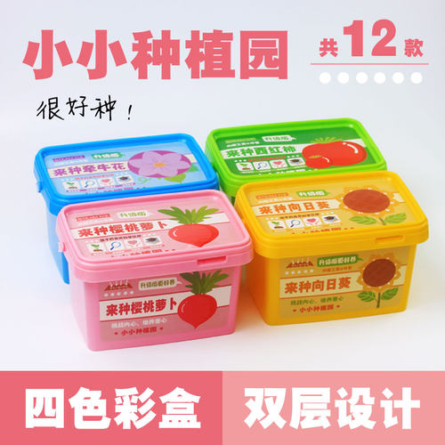 小学生奖品儿童种植小盆栽幼儿园伴手礼科学观察植物种子定制批发