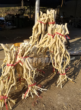 直销龙骨干橱窗装饰家居客厅龙骨杆白树枝干天然树枝去皮橘子树杆