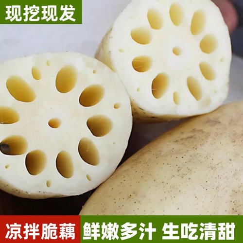 新鲜农家现挖嫩莲藕当季新藕洪泽湖九孔白莲藕炒菜凉拌做馅料炖汤