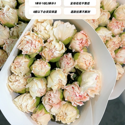 不售后，推荐芙蓉单头康1扎16～20支，购买三单包邮