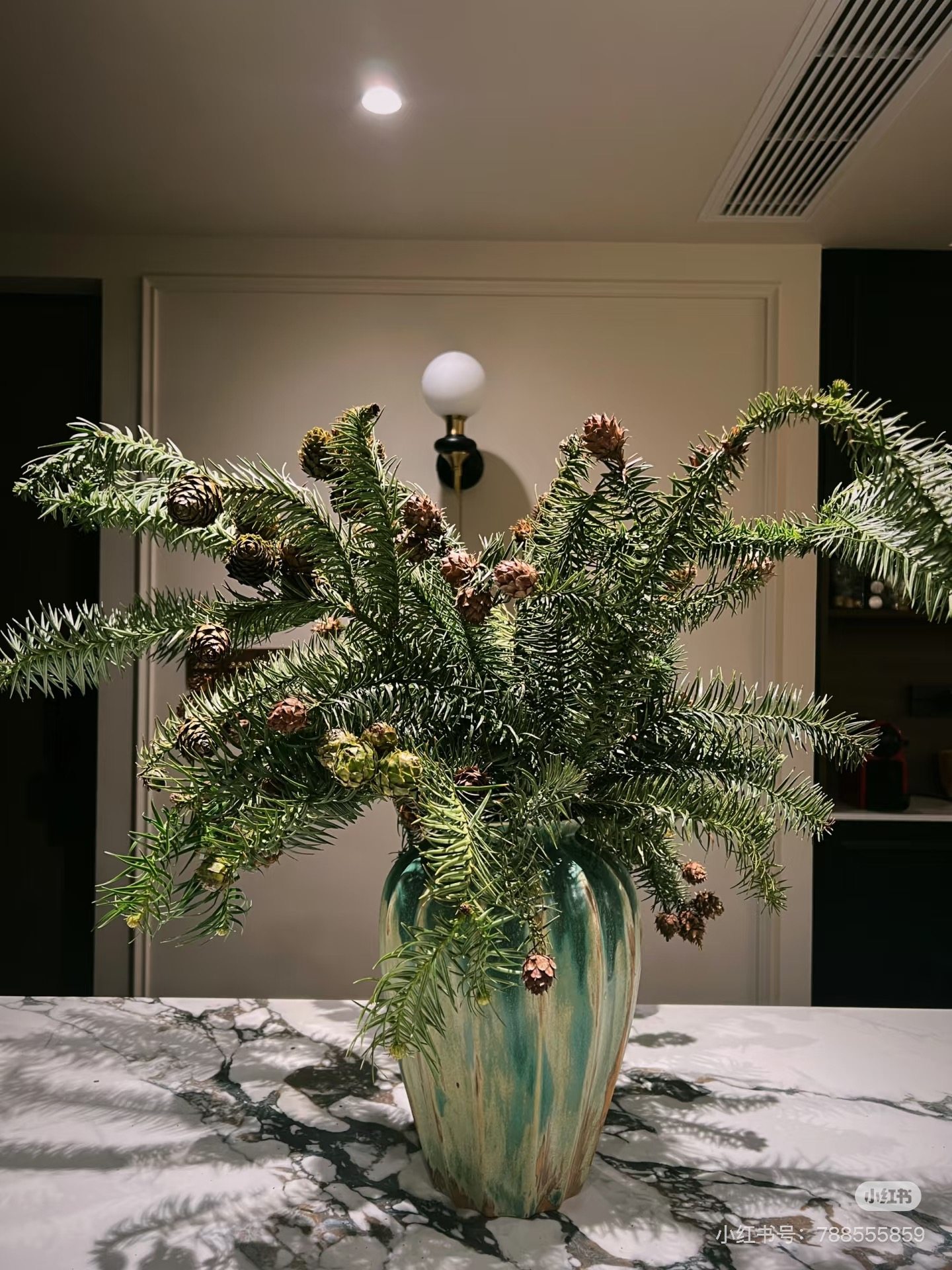 不售后，推荐圣诞氛围感莲花松1扎，购买三单包邮,鲜花速递/花卉仿真/绿植园艺,花材,淘宝优惠券,粉丝福利购,淘宝优惠卷