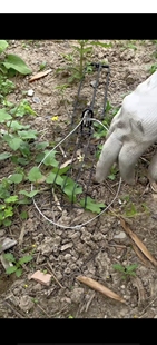 新款老鼠夹子高灵敏强力双板弹簧圆形捕鼠夹铁老式捉扑捕鼠器家用