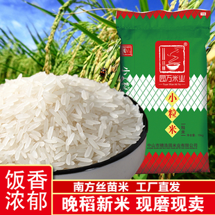 园万米业15kg小粒米新米米粒细长香甜可口南方米